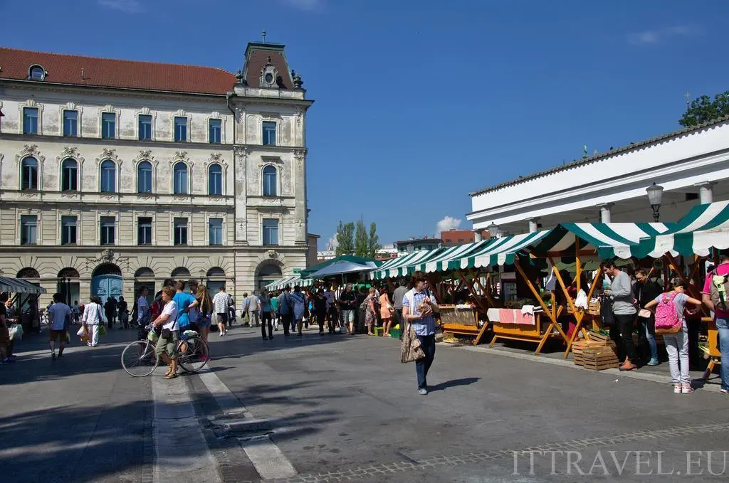 Ljubljana Market