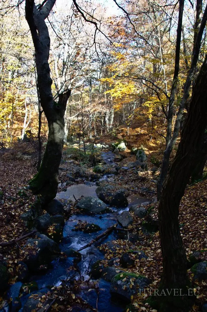 Vitosha