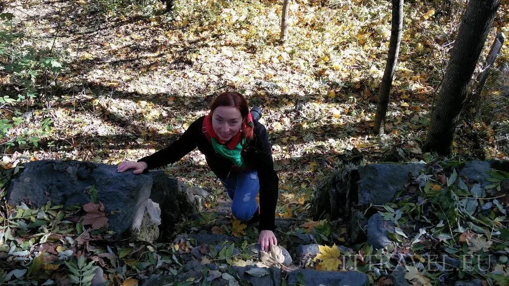 Vitosha