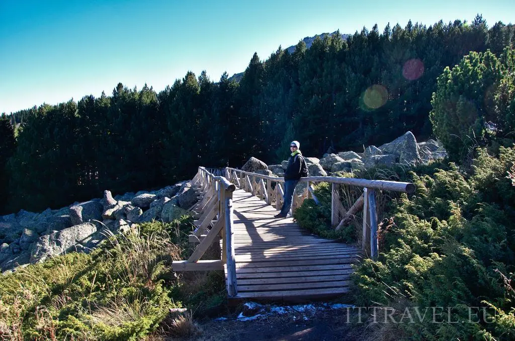 Vitosha stone rivers