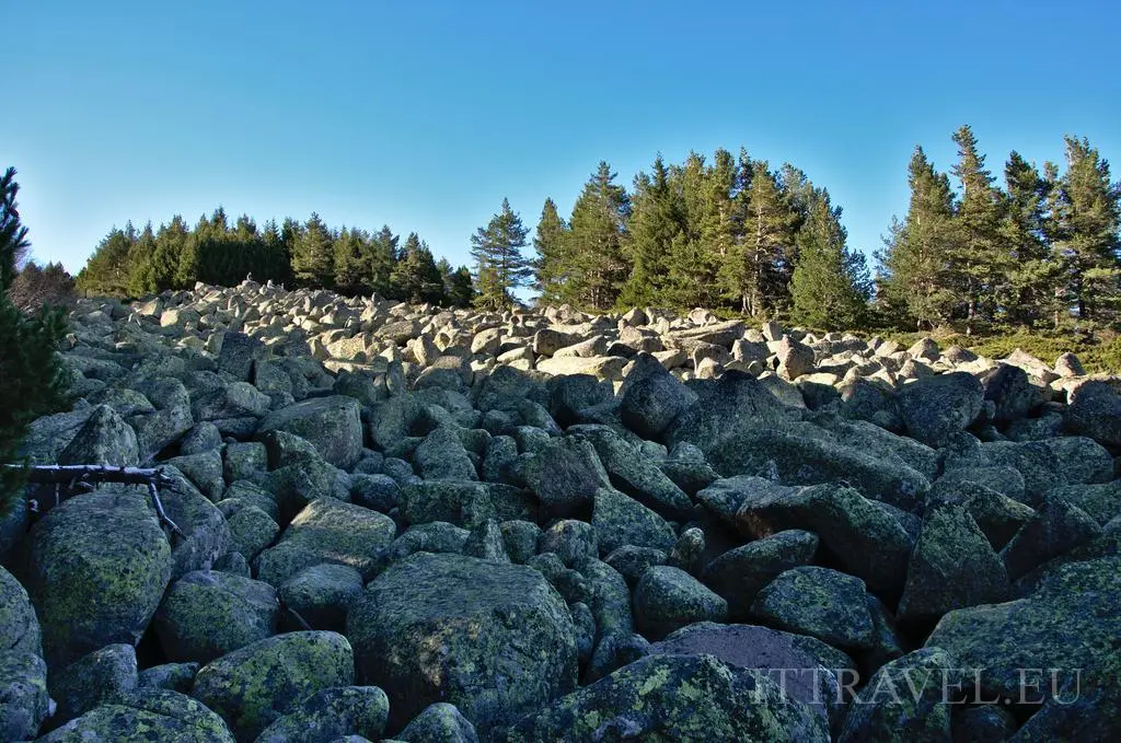 Vitosha stone rivers