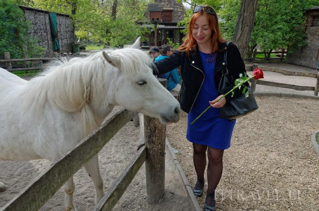 Zoo