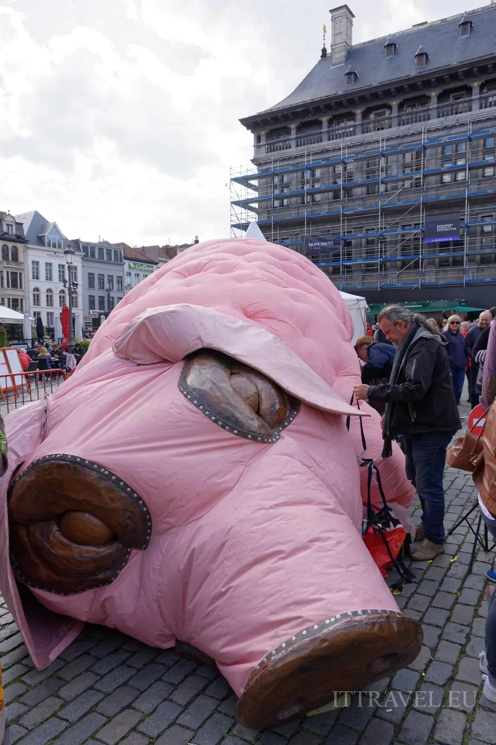 Pig from the festivity at the "Grote Markt"  