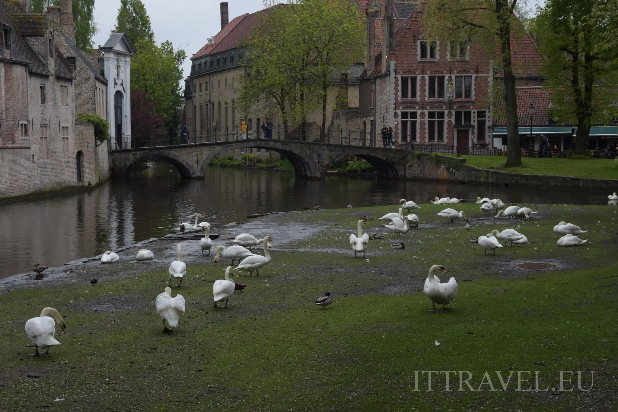 Bruges